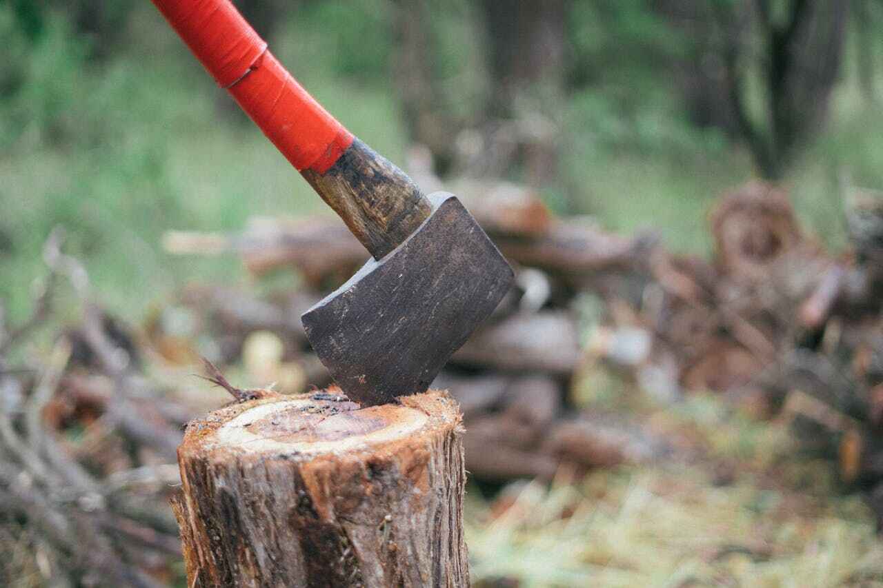 Tree Branch Trimming